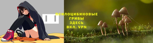 герыч Алексин