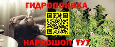 дживик Гусев
