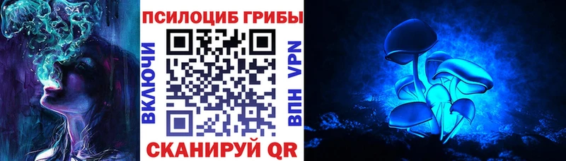 Псилоцибиновые грибы мухоморы  сайты даркнета состав  Качканар 