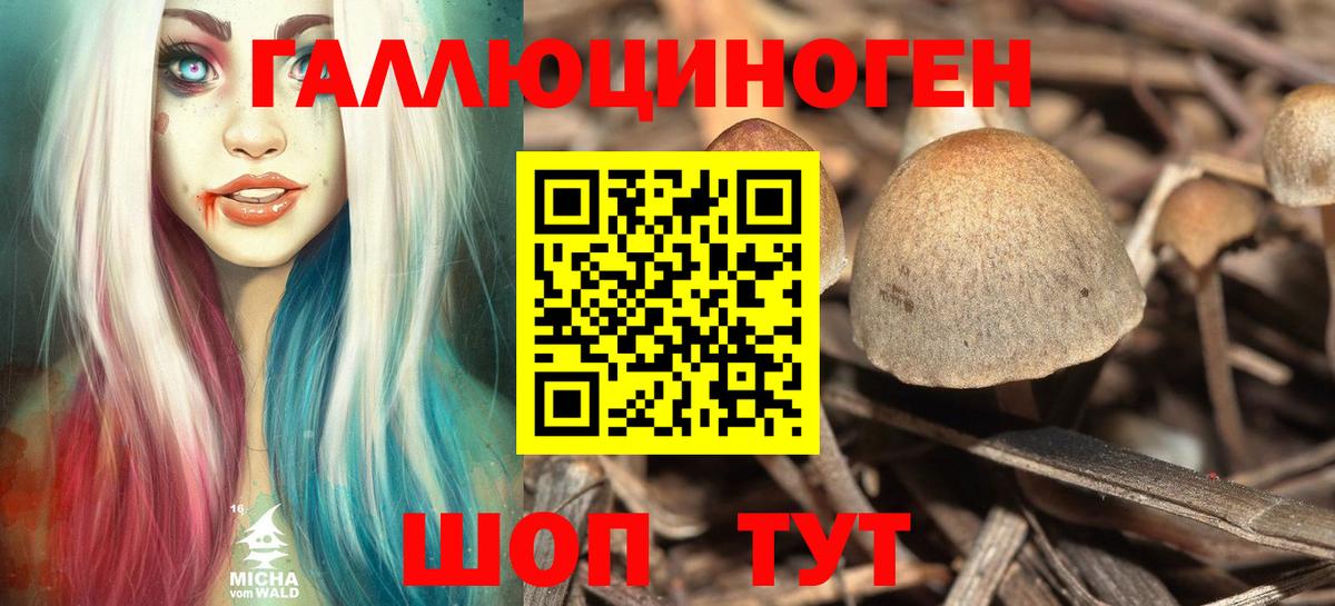 Галлюциногенные грибы прущие грибы  Вход с VPN  Качканар 