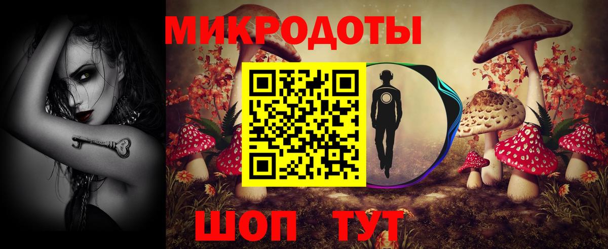 Галлюциногенные грибы Magic Shrooms Качканар